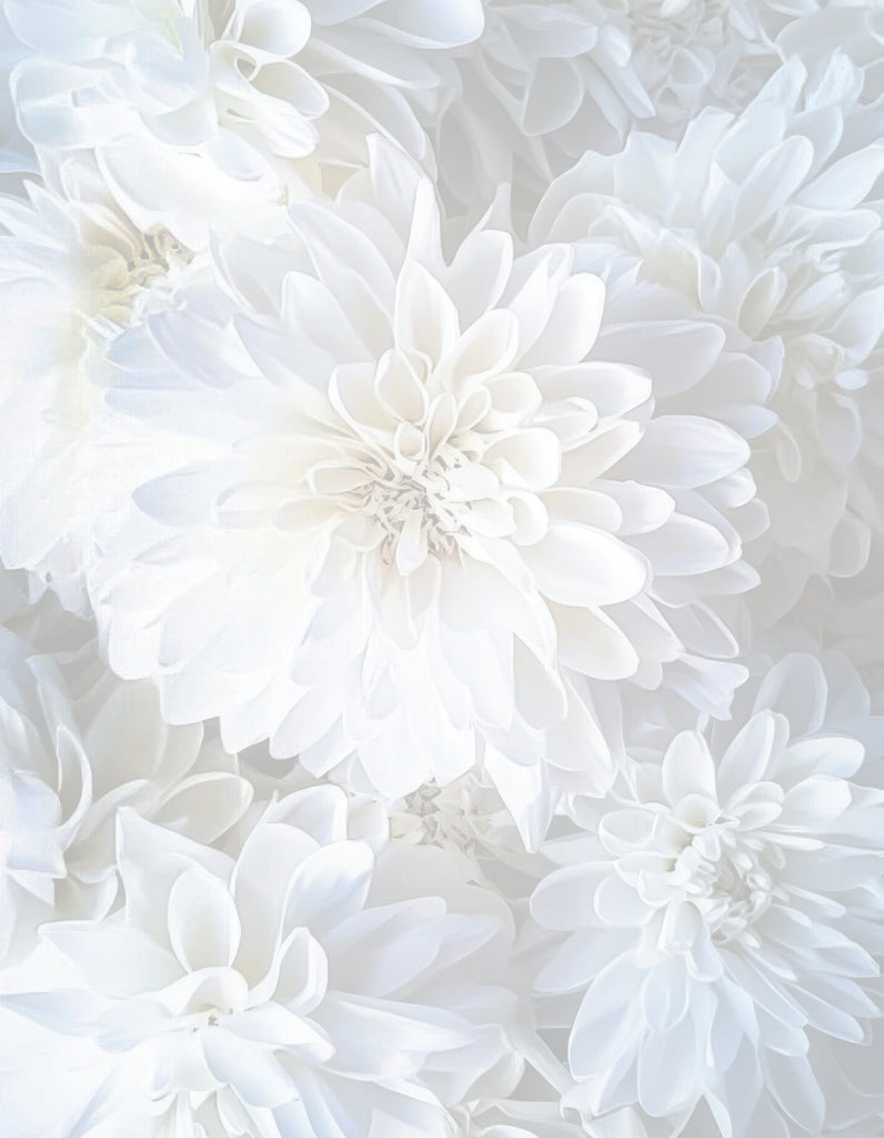Floral Stationery Paper - White Petals - 50 Sheets - 8.5 x 11 - Wedding Stationery Paper