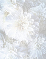 Floral Stationery Paper - White Petals - 50 Sheets - 8.5 x 11 - Wedding Stationery Paper