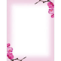 Pink Orchids Letterhead - 80 Sheets