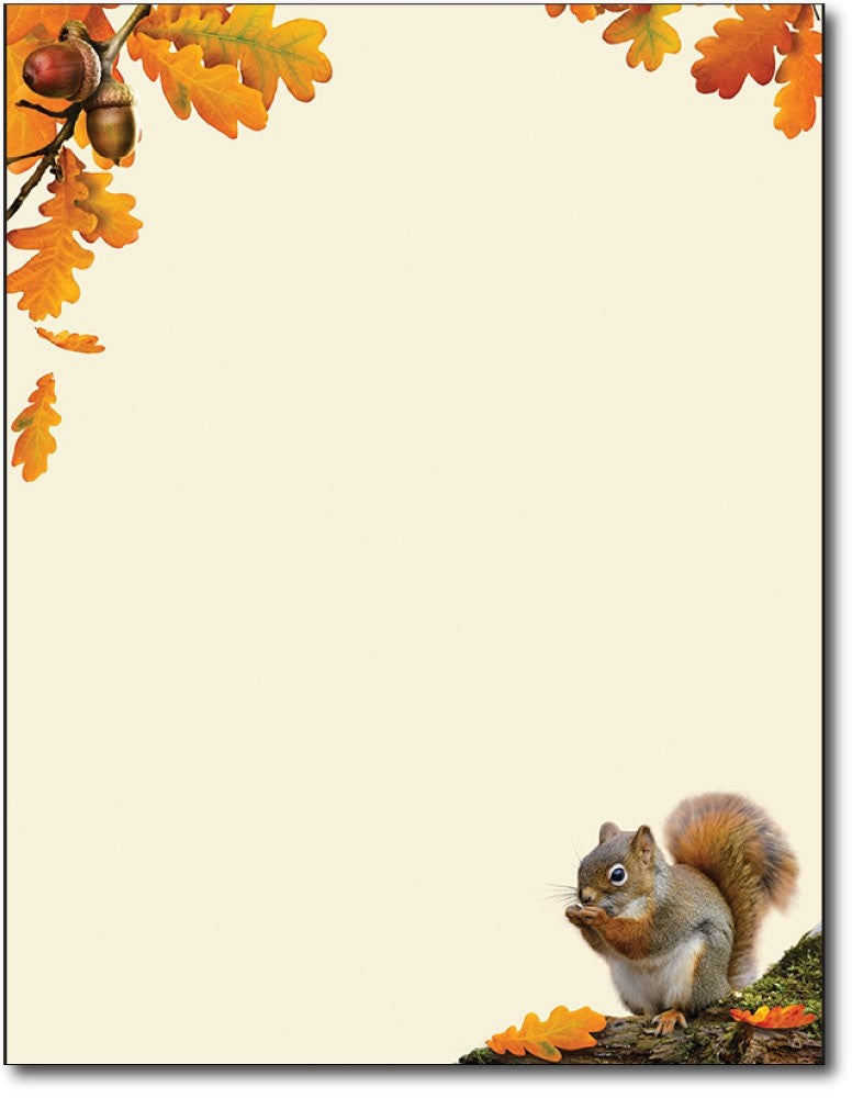 50lb acorn squirrel Fall Autumn Letterhead, measure(8 1/2" x 11"), compatible with inkjet and laser