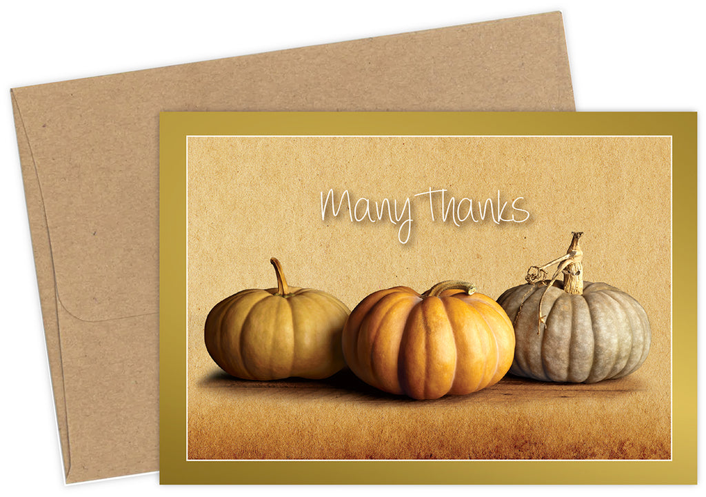 Fall Pumpkins Thank You Card Sets