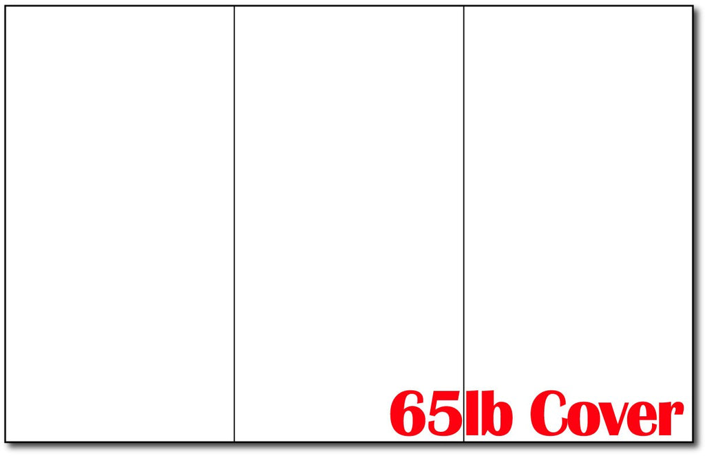Desktop Publishing Supplies, Inc. Heavyweight Blank Postcard Paper for Printing - White - 250 Sheets / 1000 Postcards - Perforated 4 per Sheet - Thick