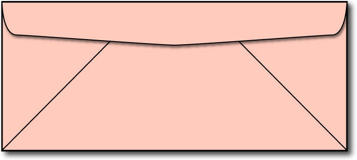 24lb, #10 Pink Business Size Envelopes.