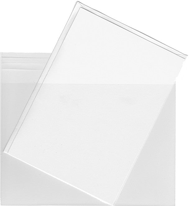 Empty Clear Plastic Pouch Bag With White Blank Paper Label Top And