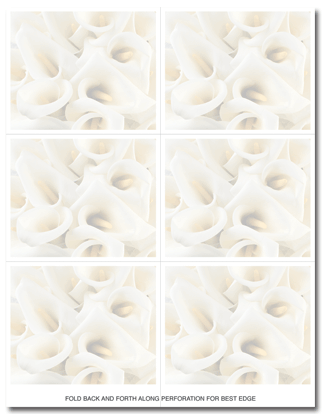 24 lb Calla Lilies Place, measure(8 1/2" x 11"), compatible with inkjet and laser, matte both sides