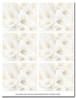 24 lb Calla Lilies Place, measure(8 1/2" x 11"), compatible with inkjet and laser, matte both sides