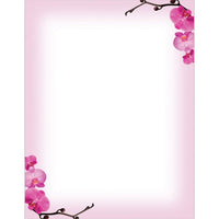 Pink Orchids Letterhead - 80 Sheets