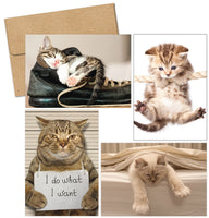 Kitty Thoughts Multi-Pack Note Cards