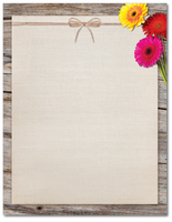 Flower Stationery - Three Gerber Daisies - 60lb Text