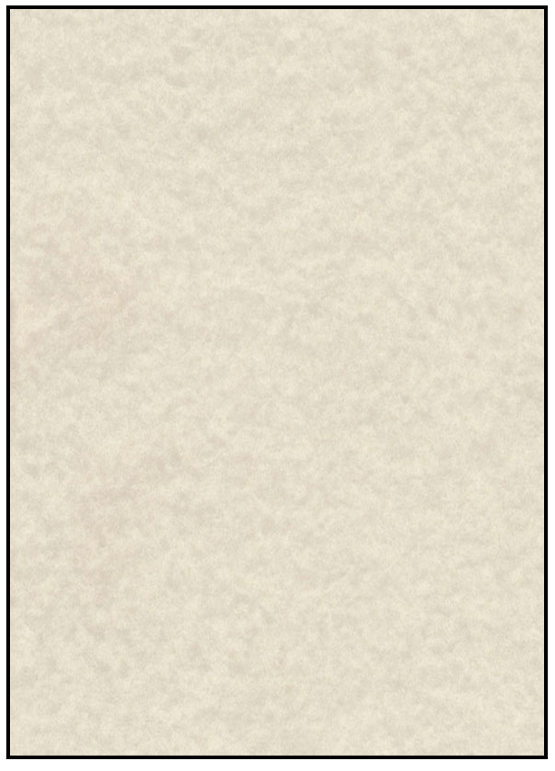 11" x 17" Paper - Natural Parchment -  80lb Text