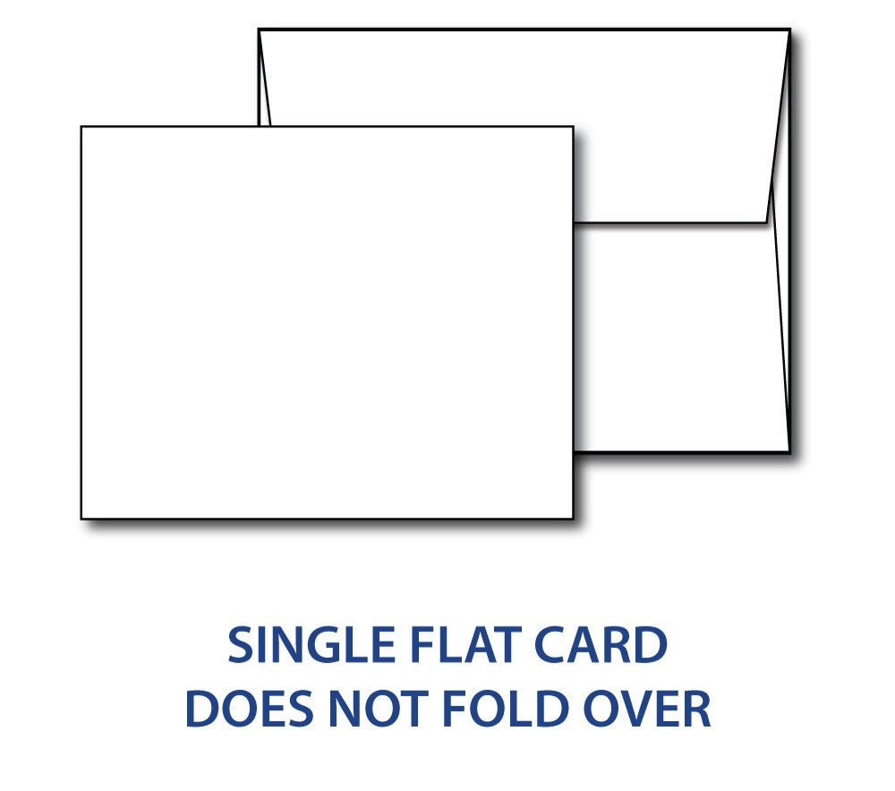 Flat card 4 1/4 x 5 1/2 White & envelopes