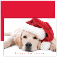 Santa Puppy Boxed Holiday Cards & Envelopes