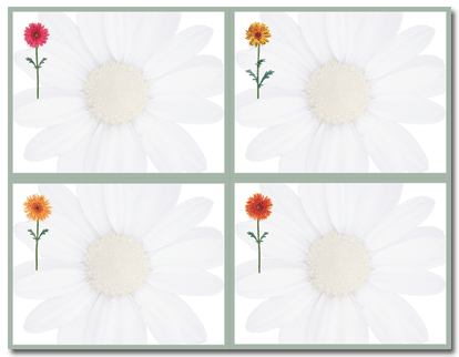 38 lb Daisies 4-Up Post Cards, measure(8 1/2" x 5 1/2"), compatible with inkjet and laser, matte both sides