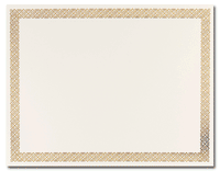 48 Pack Certificate Paper - Letter Size Blank Silver Foil Border Specialty  Award Paper, Printer Friendly, Gold, 8.5 x 11 inches