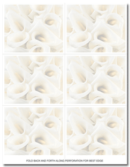 24 lb Calla Lilies Place, measure(8 1/2" x 11"), compatible with inkjet and laser, matte both sides